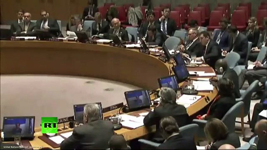 ONU 21/11/2016 Situation en Syrie Intervention de la Russie