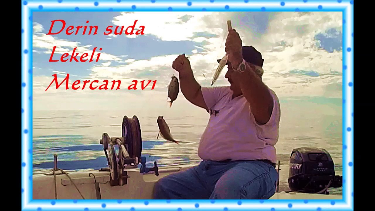 DERİN SUDA LEKELİ MERCAN AVI