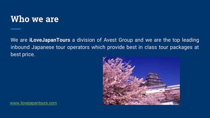 Japan private tours