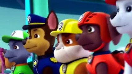 Щенки и Большая Стужа - Новый Мультик Для Детей в HD