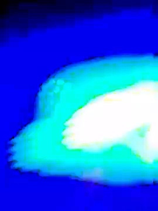 alien predator scifi mutter schiff landet auf erde am tag der nacht