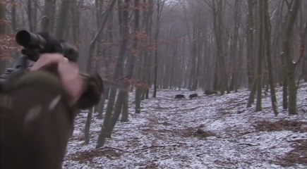 il a tué 6 sangliers en 10 secondes !! o_O