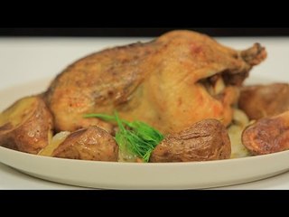 دجاج مشوي في الفرن | نادية سرحان