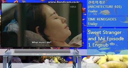 토토 솔루션 제작 전문업체 BK