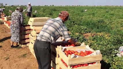 Biznes Həftəsi- ANONS