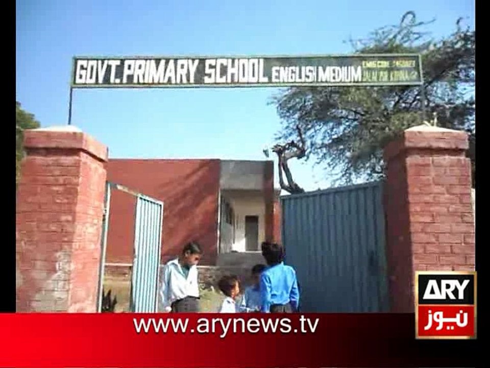 Cattles  in Government School