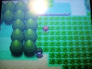 Capture de mon Lixy shiney