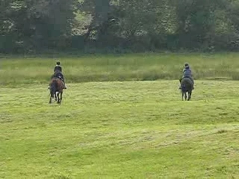 Balladelea