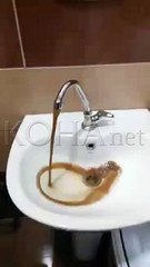 Ujë për pije, apo baltë në krojet e Vitisë