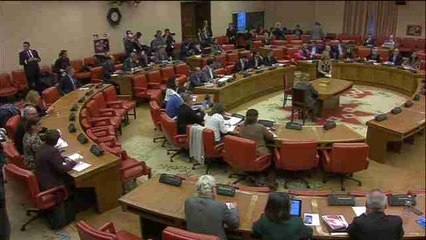 Báñez invita al consenso a los diputados del Pacto de Toledo