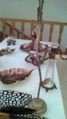 Peacock Arrangements