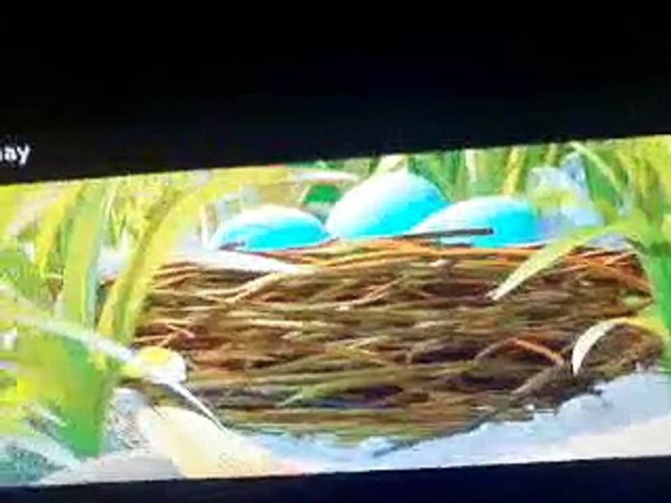 A bugs life