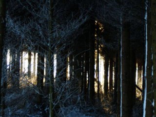 Pink Moon BookTrailer