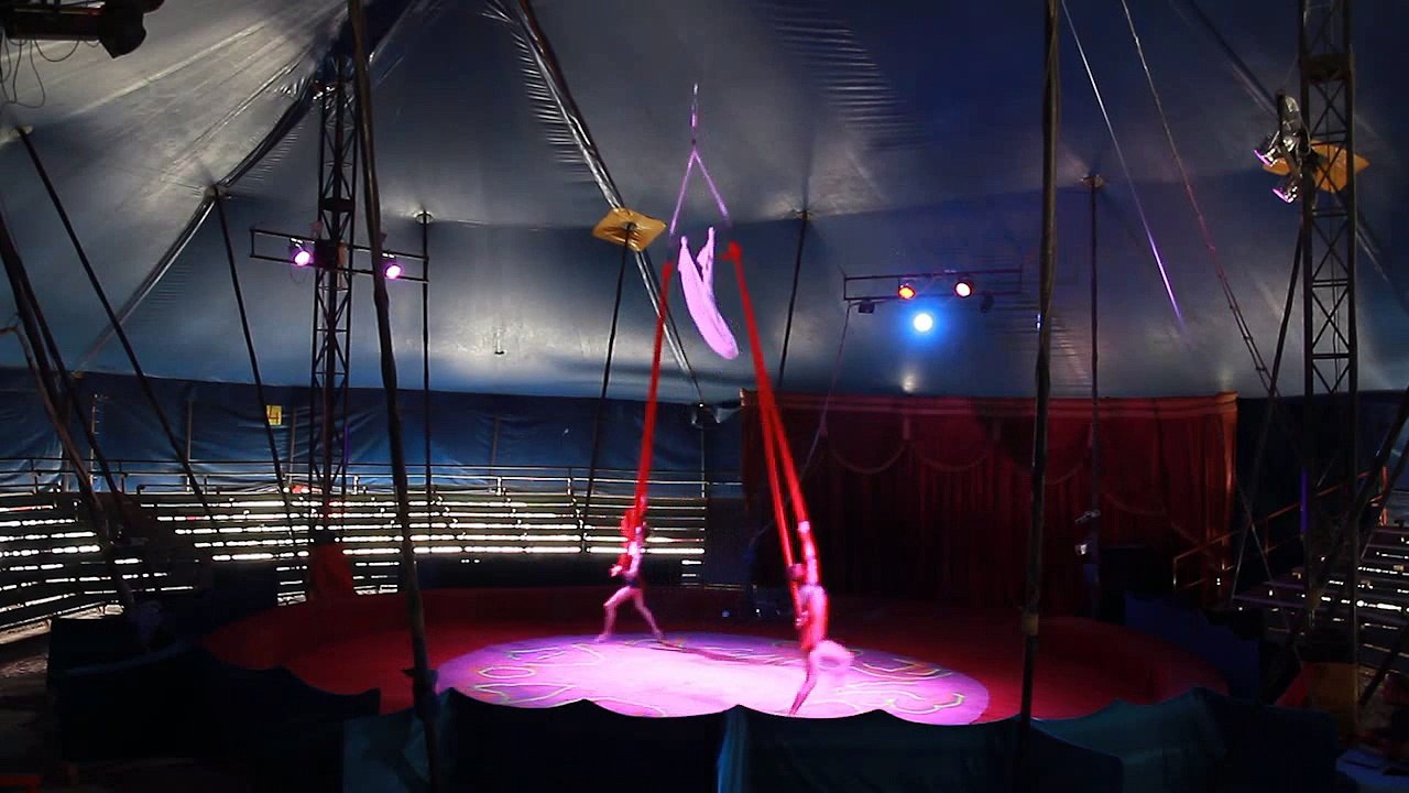 Duo  Aerial silks , # 268, represented by Stefani Art Agency