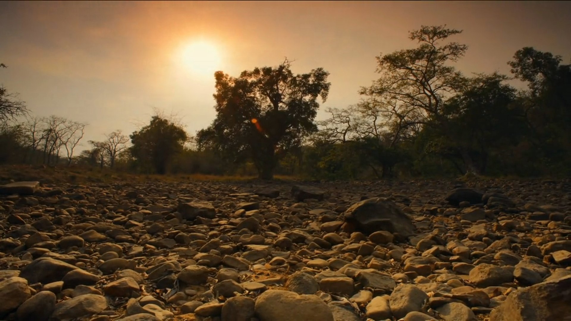 ⁣Секреты дикой Индии 3 серия / Secrets of Wild India (2011) HD