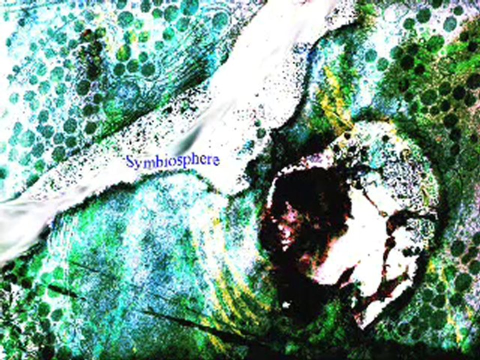 djzentao symbiosphere