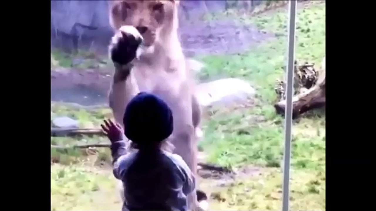 People are awesome win videos - Best awesome win video compilations - must watch