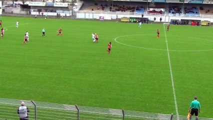 D1F : Le résumé de EA GUINGAMP - AS SAINT-ETIENNE (0-0)