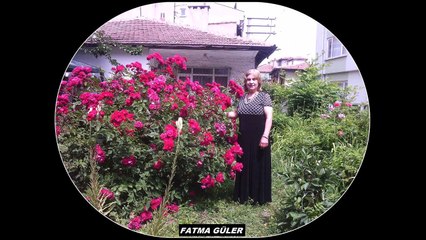 FATMA GÜLER 18 TÜRKÜ SLAYT