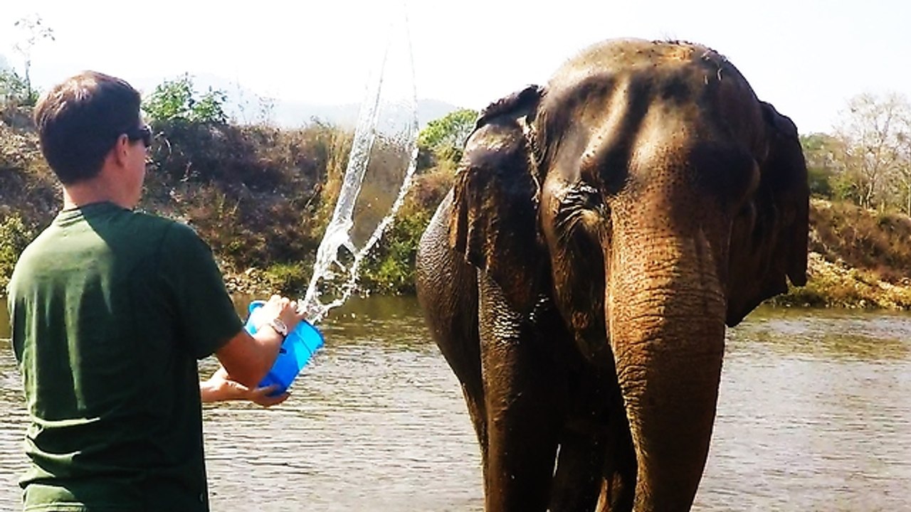 Rescued elephant enjoys river bath