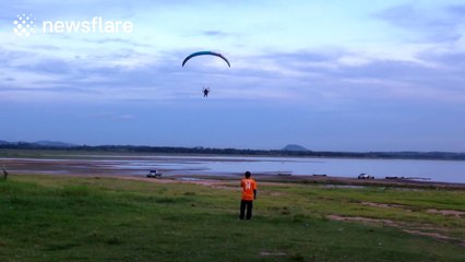 Paraglider crashes into tree