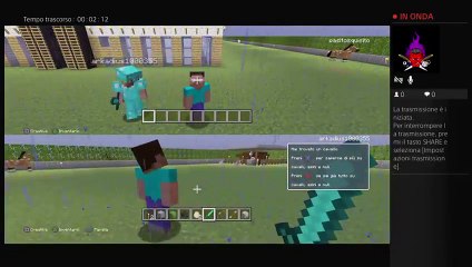 Minecraft con il nostro compagno (29)