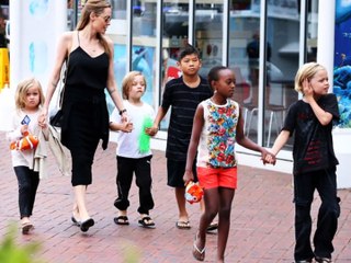 Brad Pitt Didn't  Commit Child Abuse BUT IT WAS STILL  BAD