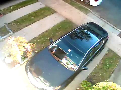 arabanın camına bakın ne düşüyor