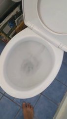 Un homme a une énorme surprise en tirant la chasse d'eau