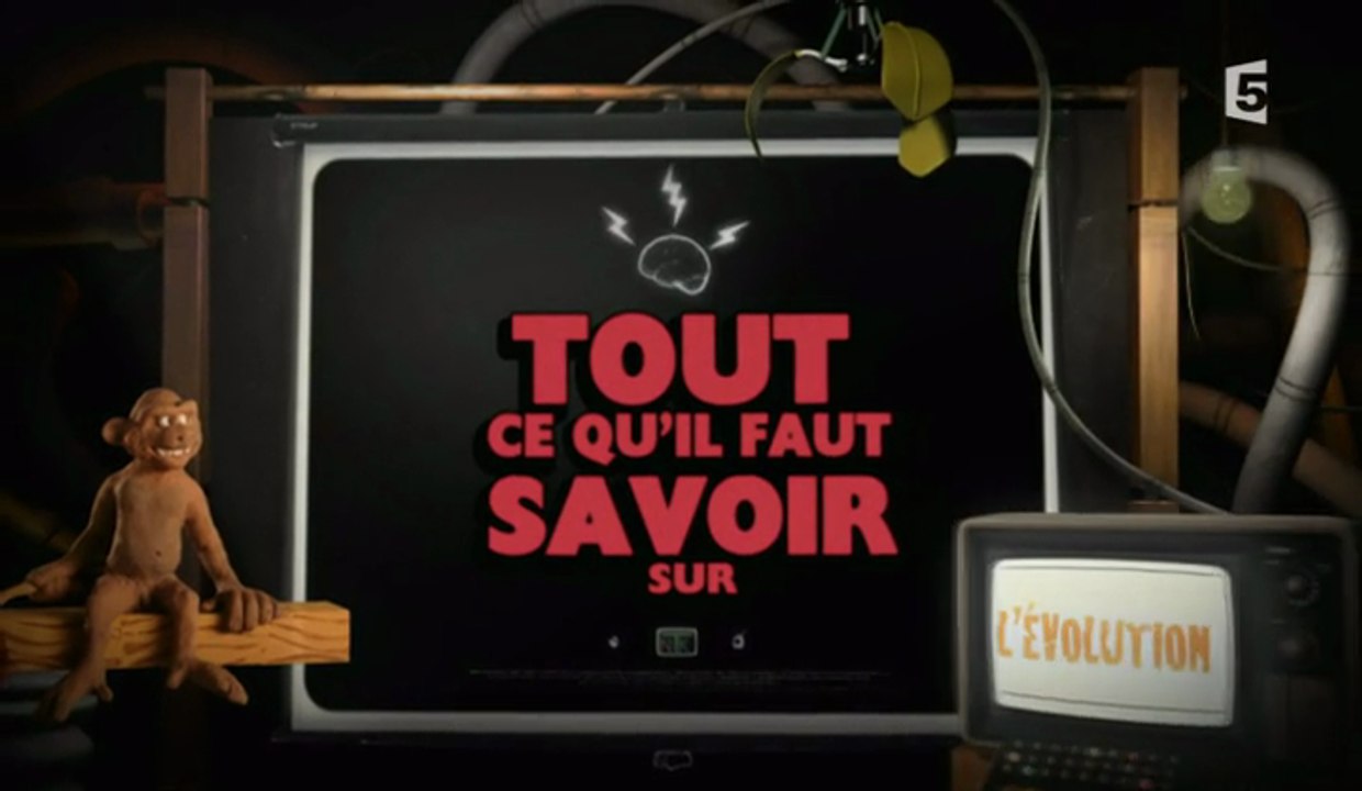 Tout Ce Qu'il Faut Savoir Sur - S02E03 - L'Evolution