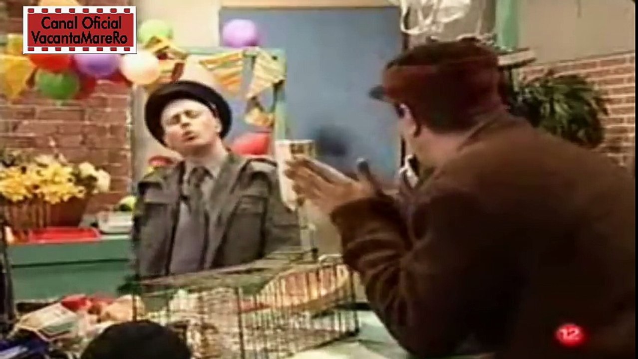 VACANTA MARE - GARCEA LA PIATA