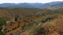 اثرات مثبت برنامه توسعه زمین و تثبیت خاک بر خشکسالی مراکش