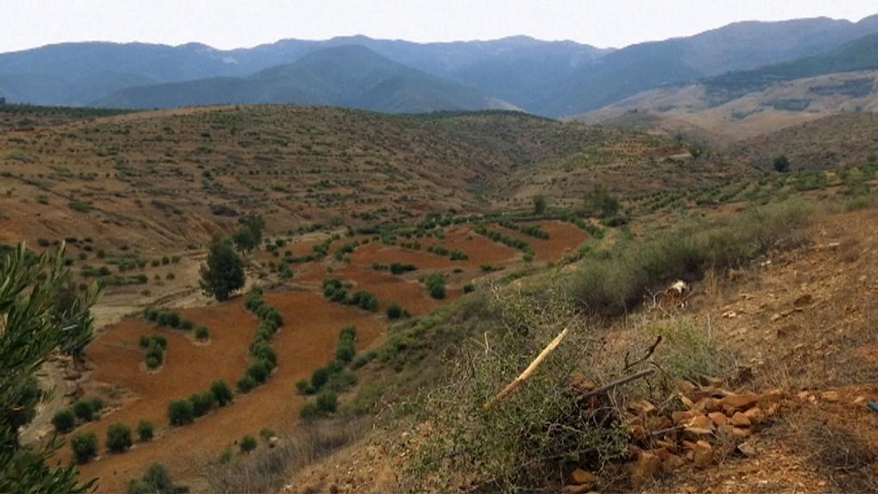 O impacto das mudanças climáticas na agricultura marroquina