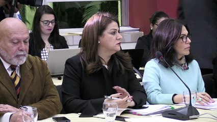 Chanceleres anunciam acompanhamento a migrantes nos EUA