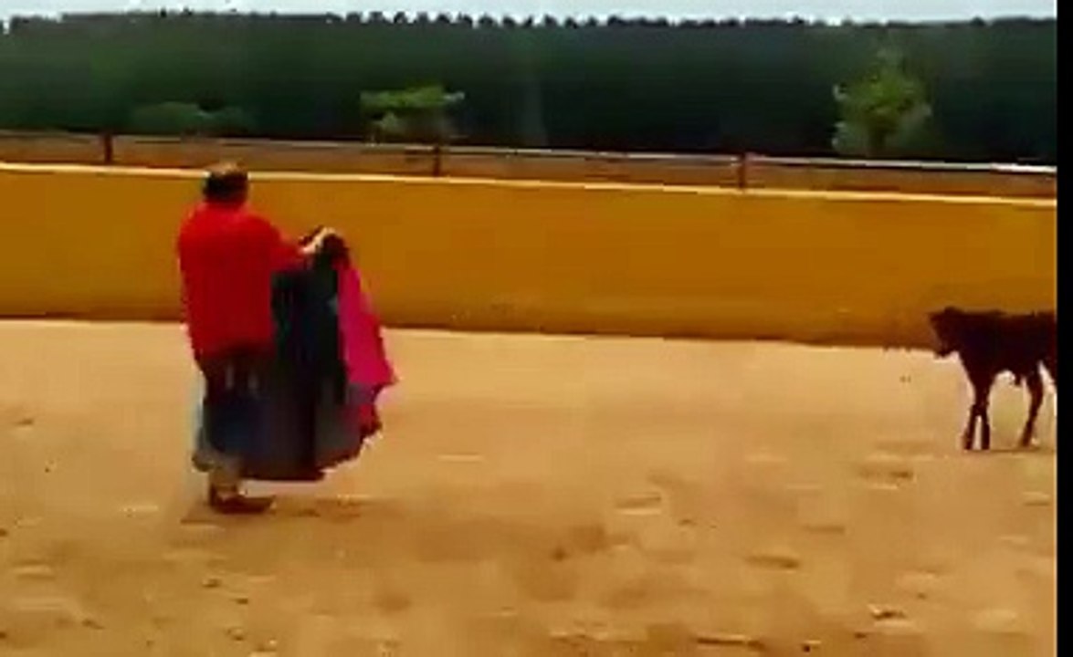 nice shot