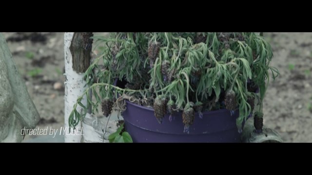 Tommy Lee Sparta - God's Eye (Official Music Video)