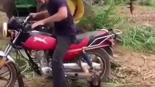 Monkey Wants To Ride A Motorcycle, Throws A Tantrum!