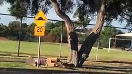 PUBLIC EXECUTION PRANK FINALE!