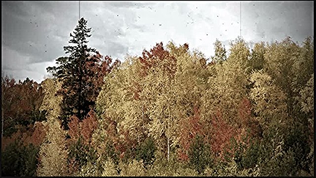 Splet narodnih pesama (29) - Biljana Petkovic, Vesna Dimic i Biljana Cirovic