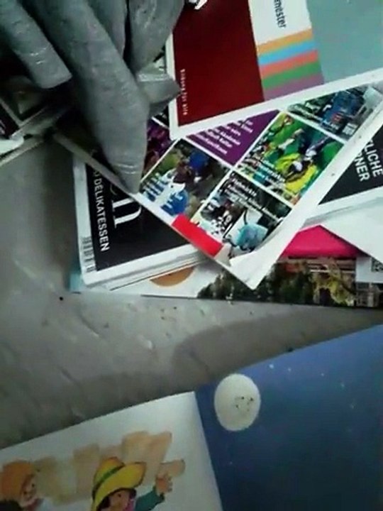 die bremer stadt musikanten dsds voice germany casting recall finale tier motto show band auftrt