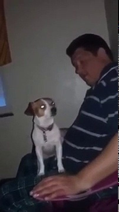 Edward hubbard MAKES OUT WITH HIS DOG DELETED VIDEO