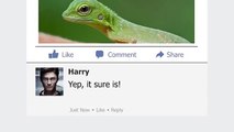 Harry Potter'ın Facebook Hesabı Olsaydı Nasıl Olurdu