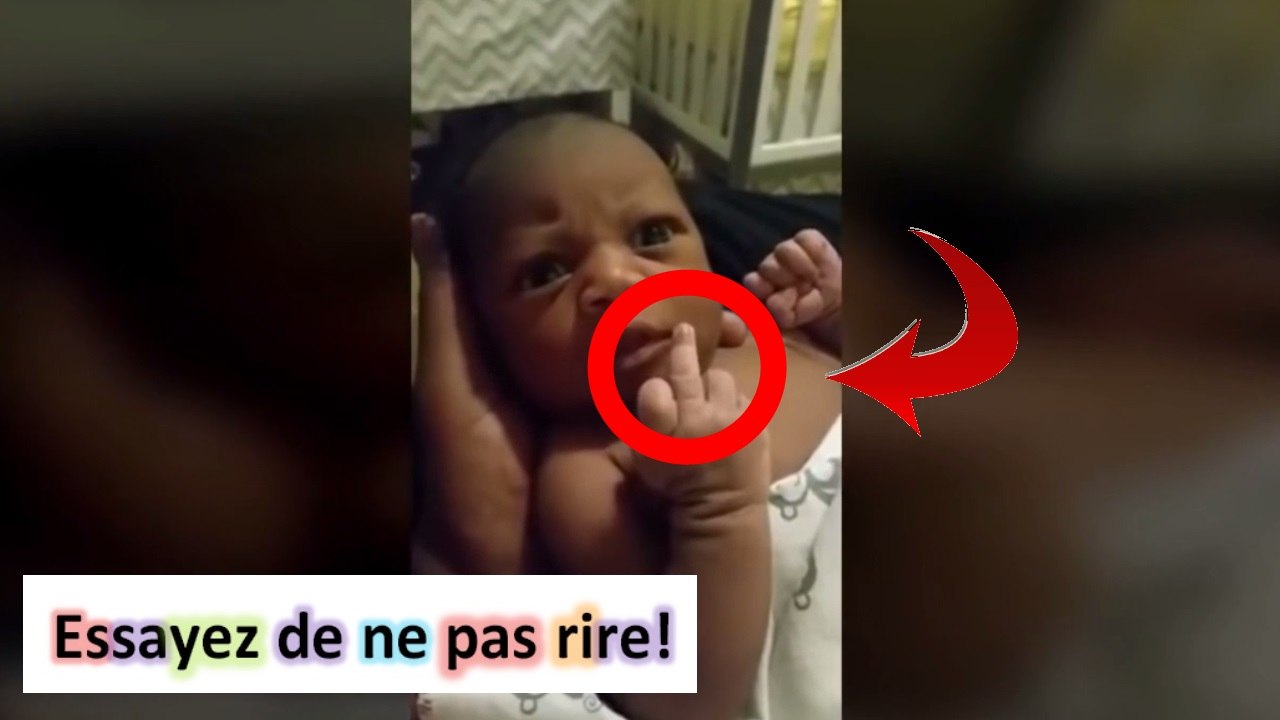 Compilation des plus gros ratés et chutes - Essayez de ne pas rire! [NOUVEAU] #73 LES VIDEOS LES PLUS DRÔLES - ESSAYEZ DE NE PAS RIRE Compilations Vidéos Drôles