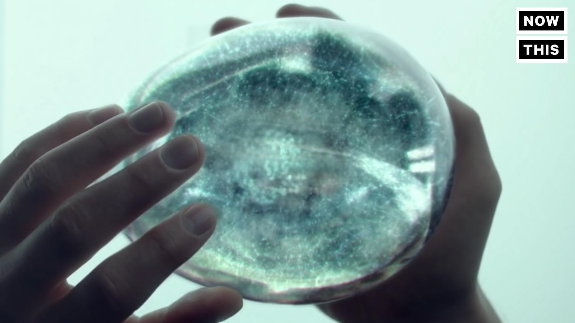 Artificial Brains For Artificial Intelligence