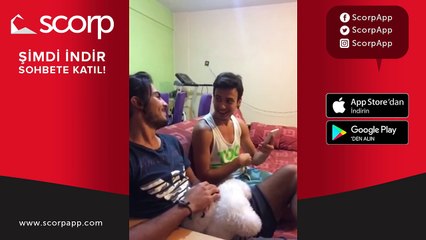 Türkleri Gaza Getirmenin Yolları !