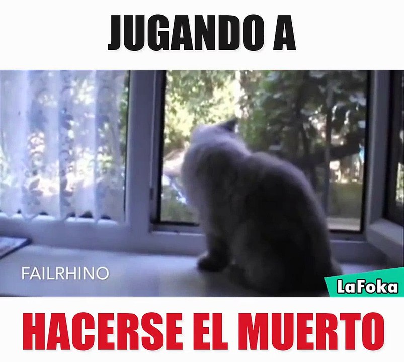 jugando hacer el muerto