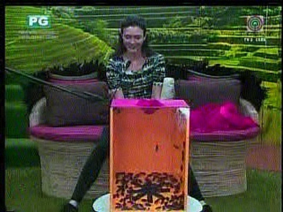 pbb2