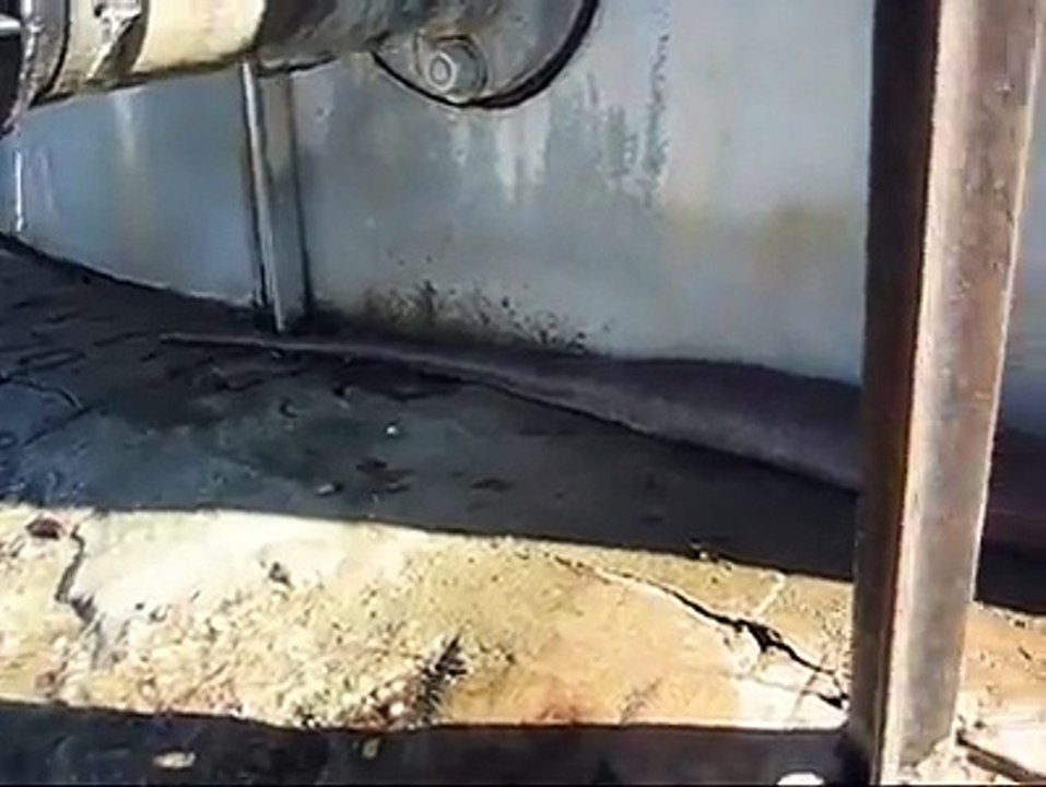 A Big Anconda