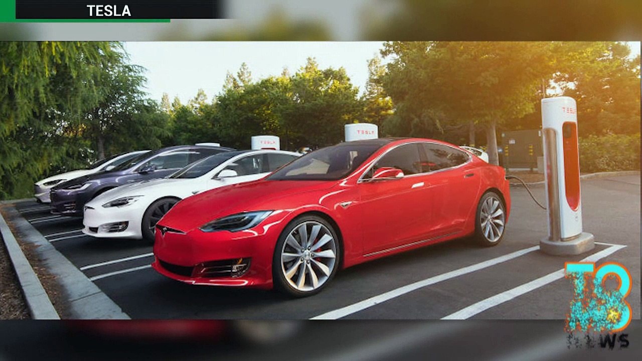 Novo software da Tesla vai manter as crianças e os animais seguros.