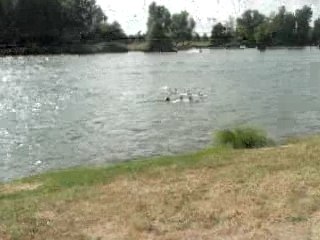 loulou se casse la gueule !!!